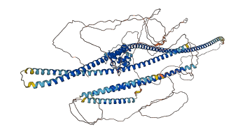 SPECC1L 3D structure