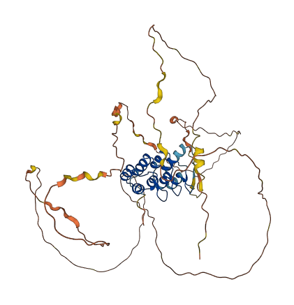 ANKRD34A 3D structure