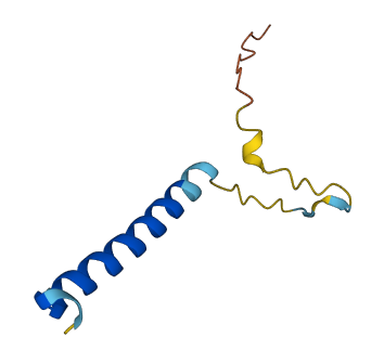 C12orf73 3D structure