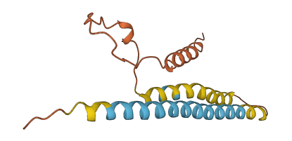 STUM 3D structure