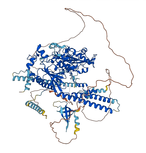 Morc2a 3D structure