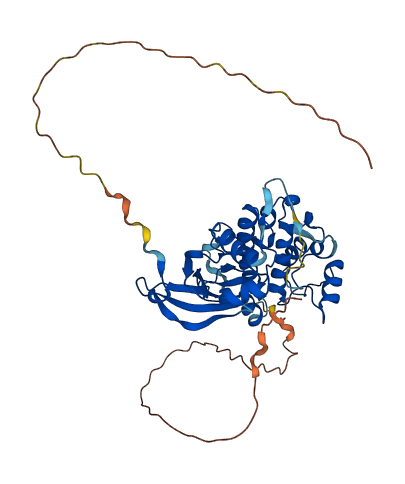 PDPK2P 3D structure