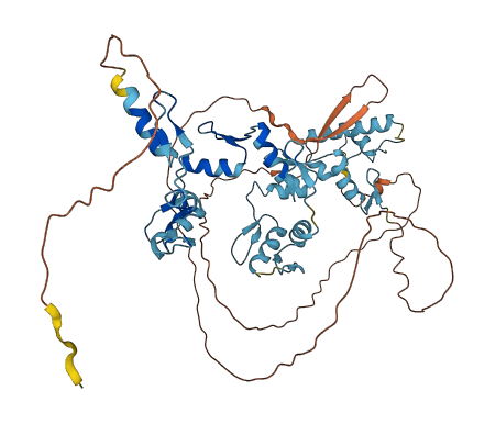 ZNF324B 3D structure