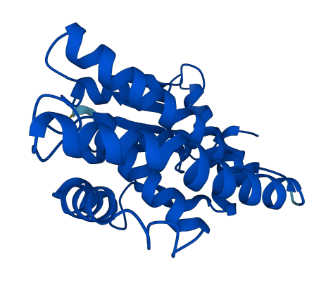 Gsta6 3D structure