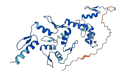 ZNF660 3D structure