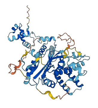 TIGD3 3D structure
