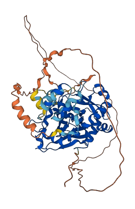 KDM4D 3D structure
