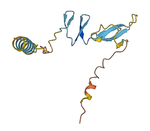 Igfl 3D structure