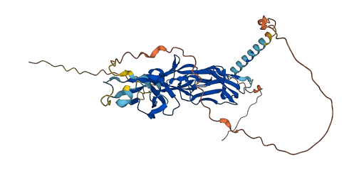 FCRLB 3D structure