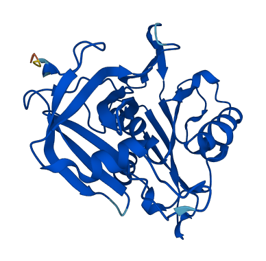 CYB5R2 3D structure