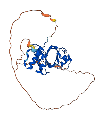 AMMECR1L 3D structure
