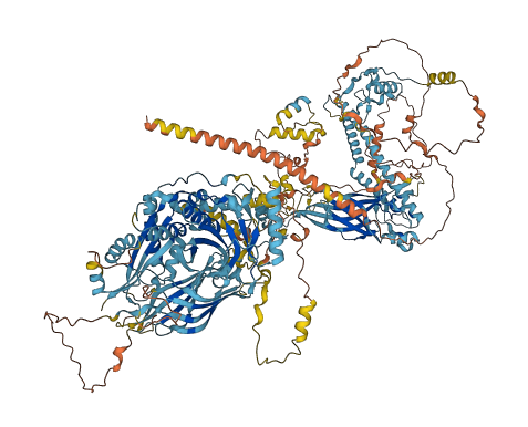 CC2D2B 3D structure