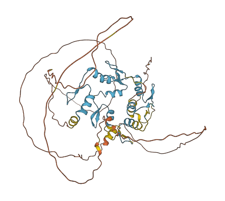 PLAG1 3D structure