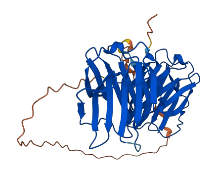 LGALS9C 3D structure