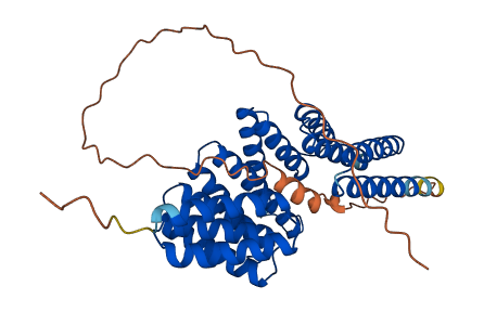 TTC19 3D structure