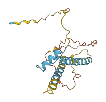 HIST2H2BC 3D structure