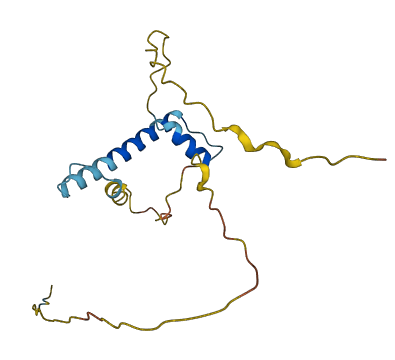HIST2H2BD 3D structure