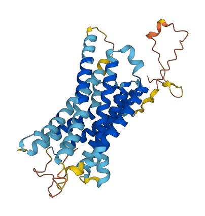 GPR139 3D structure
