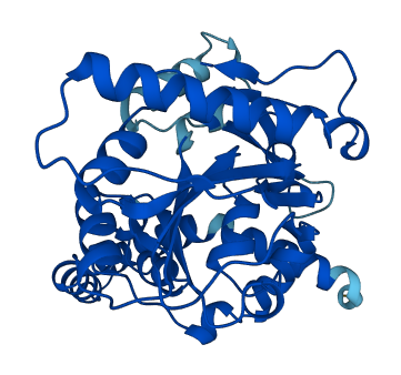 AWAT2 3D structure