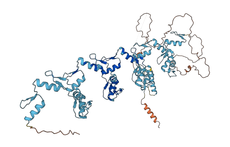 ZNF470 3D structure