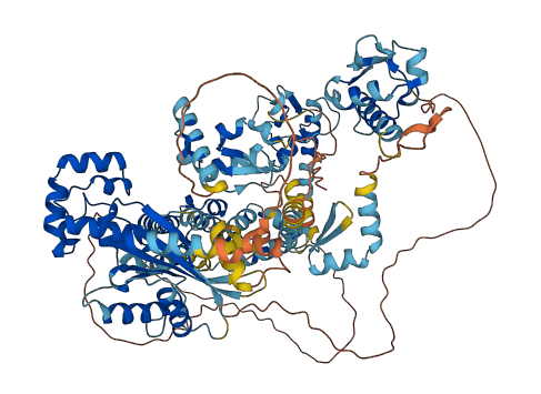 GTF2IRD2B 3D structure