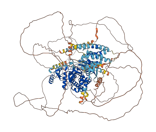 TTLL5 3D structure