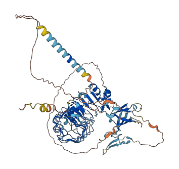 VASN 3D structure