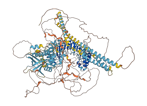 CARMIL2 3D structure