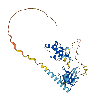 SFRP4 3D structure
