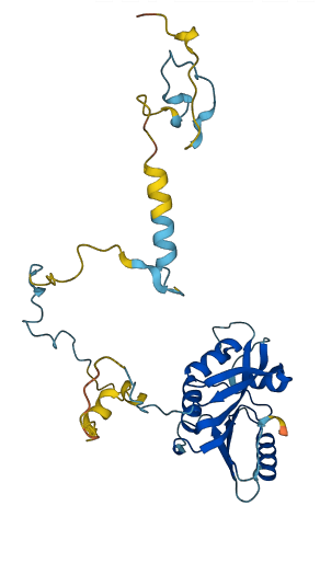 CIAPIN1 3D structure