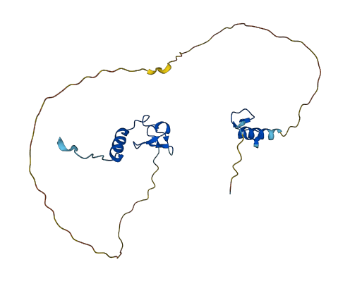 ZFAND6 3D structure