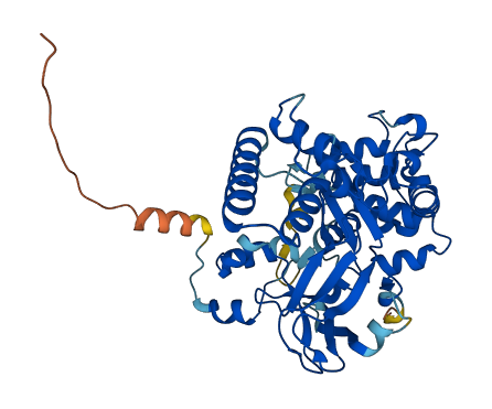 SMYD5 3D structure
