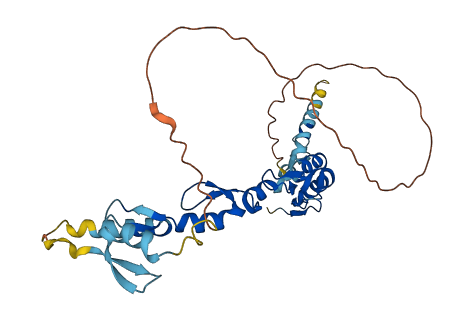 XAF1 3D structure