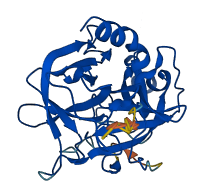 CTRB2 3D structure