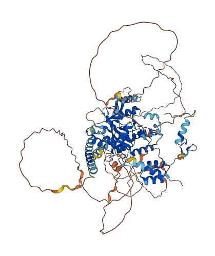 OTUD7B 3D structure