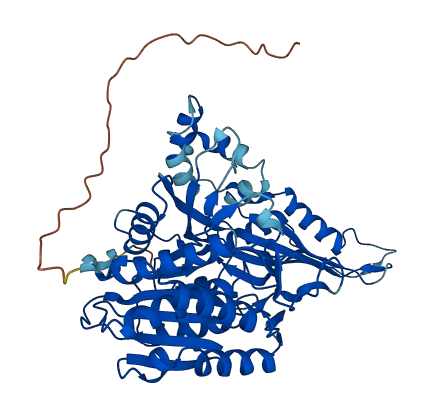 PM20D1 3D structure
