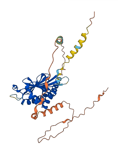 RAET1G 3D structure