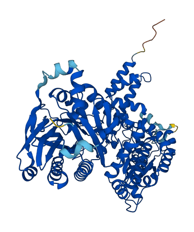 NADSYN1 3D structure