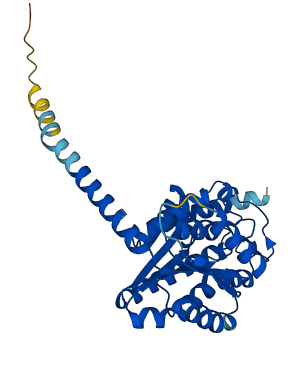 DHRS7B 3D structure