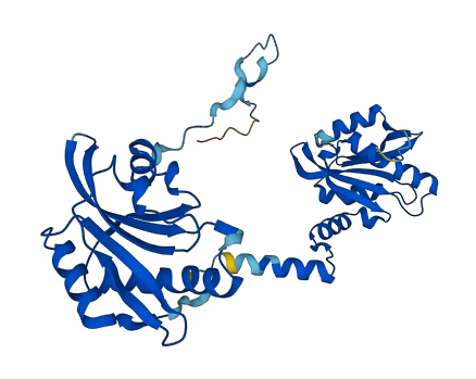 TWF2 3D structure