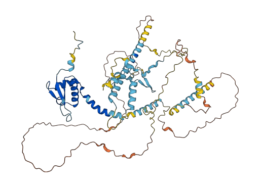 NCAPH2 3D structure