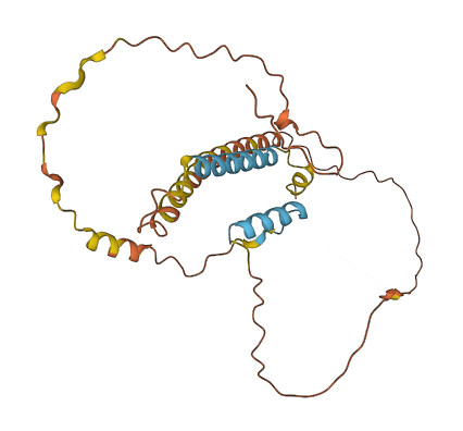 C22orf42 3D structure
