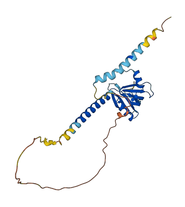 PHETA2 3D structure