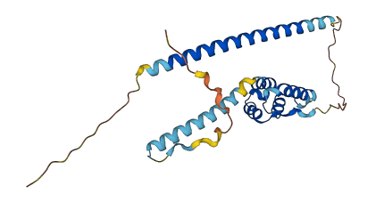 RTL6 3D structure