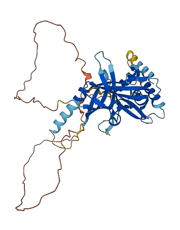 KIAA0930 3D structure
