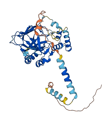 ASPHD2 3D structure
