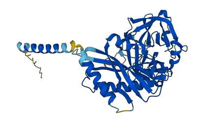 Tmprss11bnl 3D structure