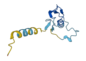 SPINK14 3D structure