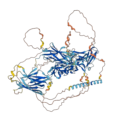 TMEM132E 3D structure