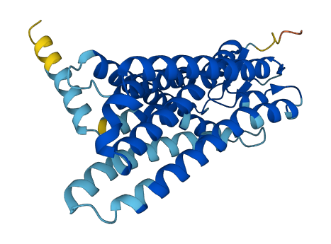 OR4C11 3D structure